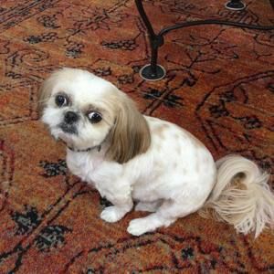 Meet your Posher, Georgiann